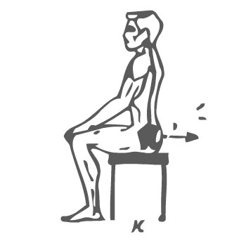 Упражнения для мышц груди и спины